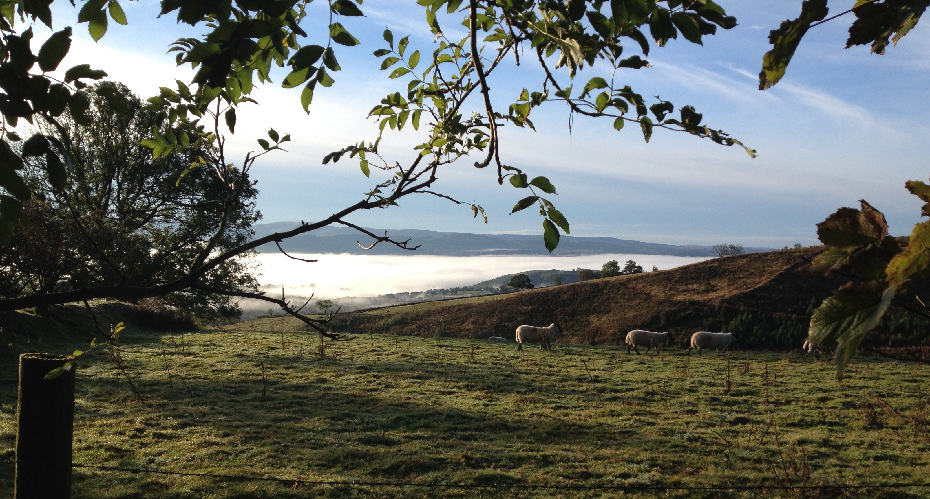 Going deeper at the Mandala Ashram, Wales