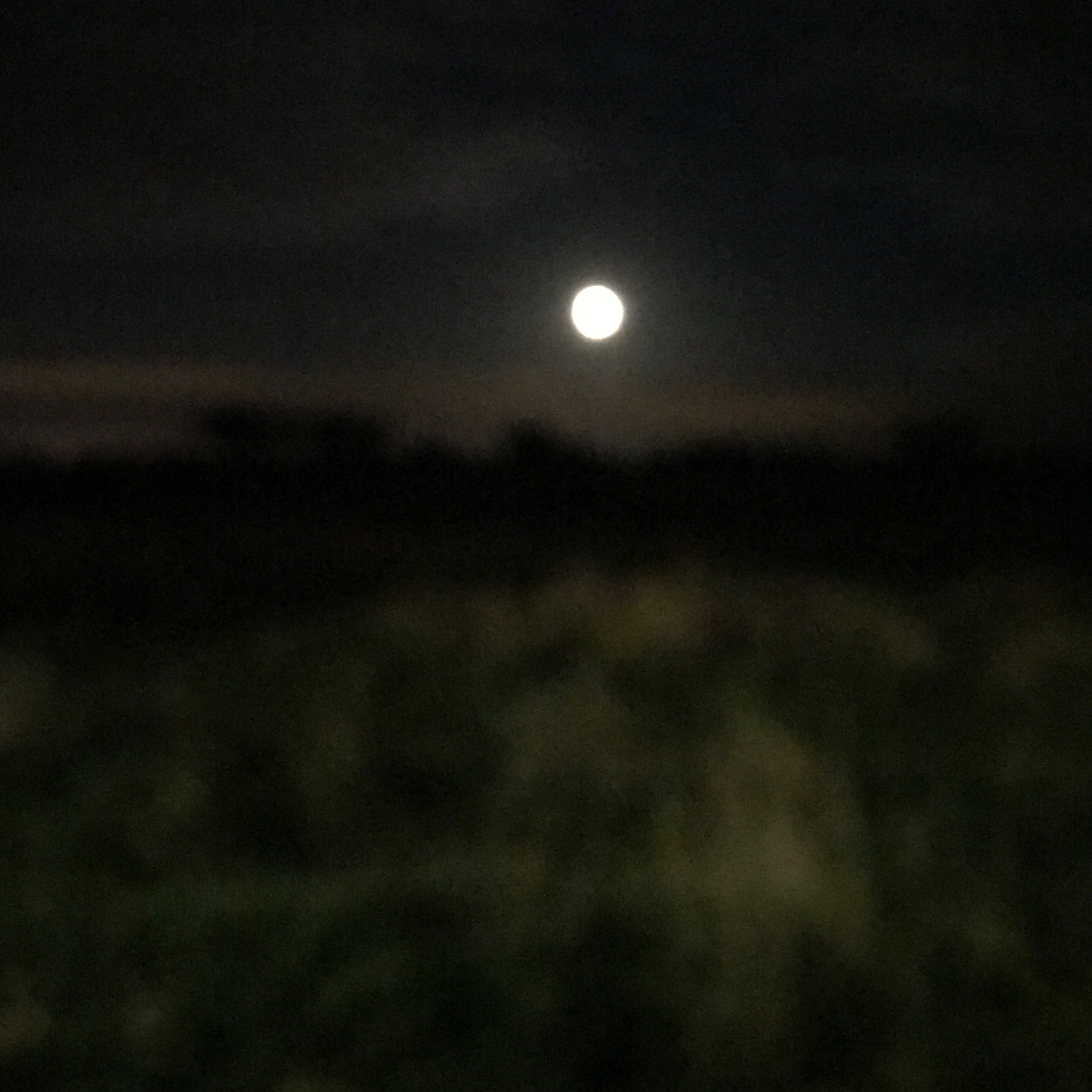 Sleep-waking: lucid dreaming with Charlie Morley