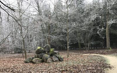 Chateau Spirituel: Sivananda Ashram Orleans